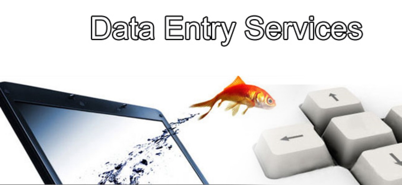 do accurate data entry by royal desinger
